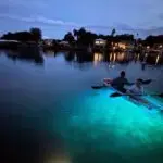 Clear-Kayak-Manatee-Viewing-Sunset-Glow-Tour-of-Crystal-River-image-14.jpg_w1000h1000zoom2.jpg