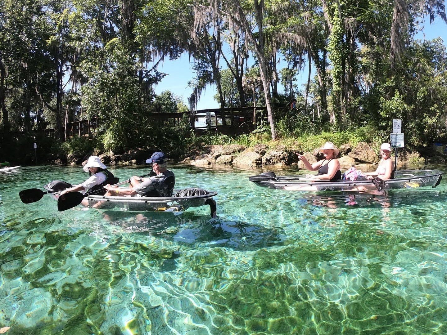 Clear kayak tour with Paddles Outdoor Rentals inside Three Sisters Springs
