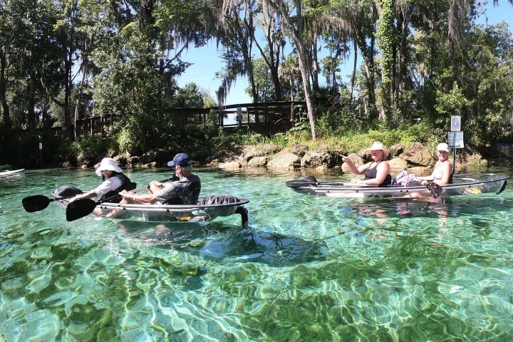 Clear kayak tour with Paddles Outdoor Rentals inside Three Sisters Springs