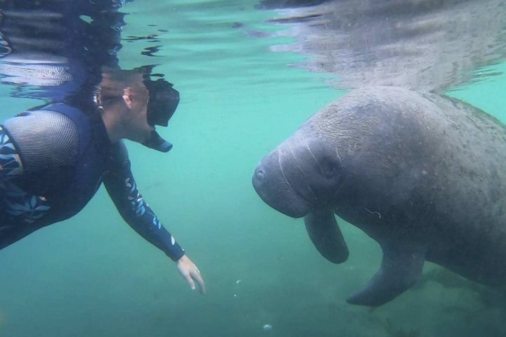 a person swimming in a pool of water