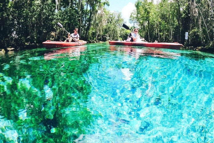 Kayaking with Paddles Outdoor Rentals on a guided ecotour of Three Sisters Springs in Crystal River, Florida.