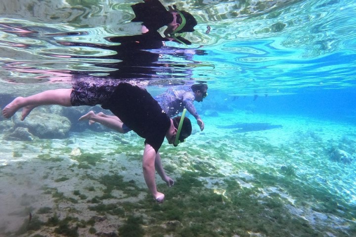 Kayaking with Paddles Outdoor Rentals on a guided ecotour of Three Sisters Springs in Crystal River, Florida.