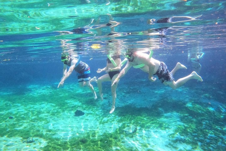 Kayaking with Paddles Outdoor Rentals on a guided ecotour of Three Sisters Springs in Crystal River, Florida.