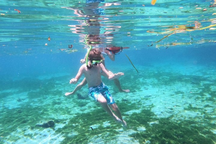 Kayaking with Paddles Outdoor Rentals on a guided ecotour of Three Sisters Springs in Crystal River, Florida.