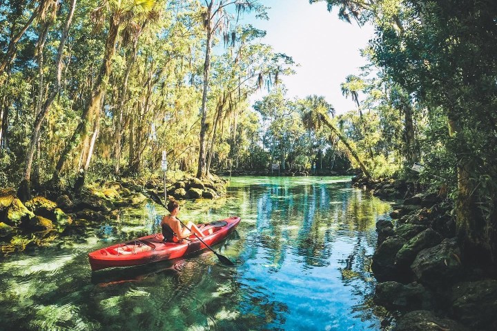 Kayaking with Paddles Outdoor Rentals on a guided ecotour of Three Sisters Springs in Crystal River, Florida.