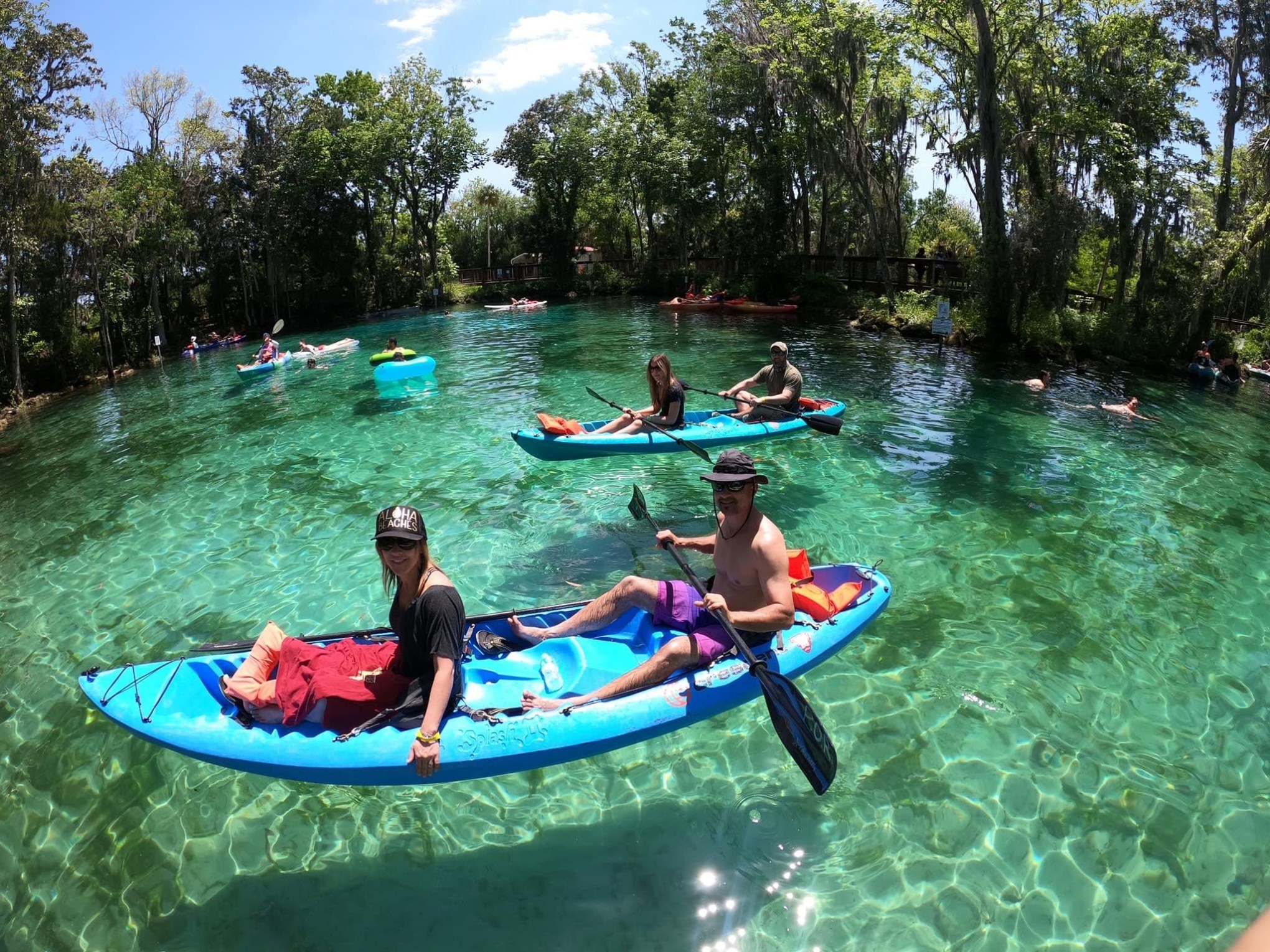 a group of Kayaking with Paddles Outdoor Rentals on a guided ecotour of Three Sisters Springs in Crystal River, Florida. people swimming in a pool of water
