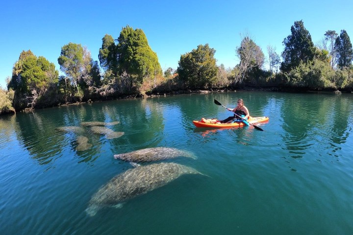 Kayaking with Paddles Outdoor Rentals