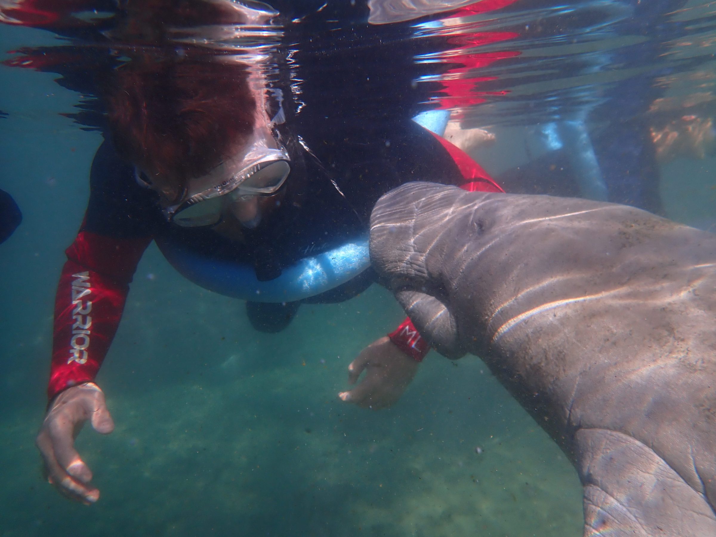 a person swimming in the water