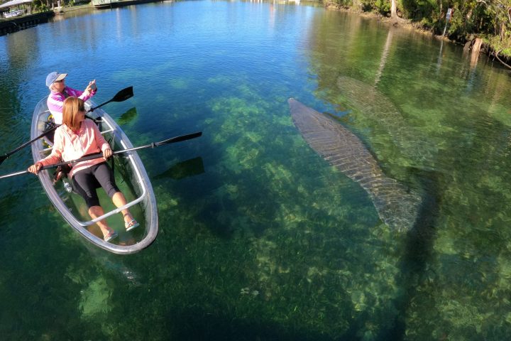 a person riding on the back of a boat in the water