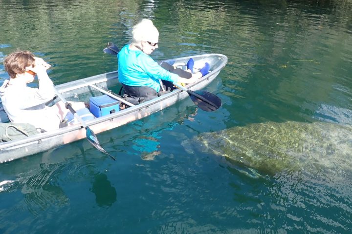 a person riding on the back of a boat in the water