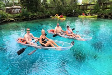 a group of people in a pool of water