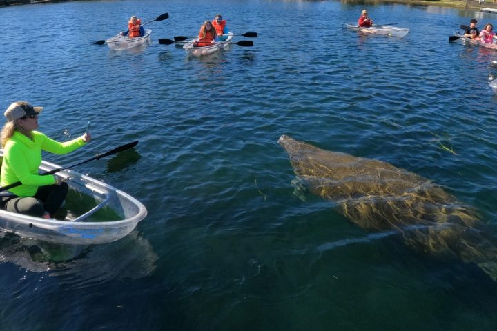 a group of people riding on the back of a boat in the water