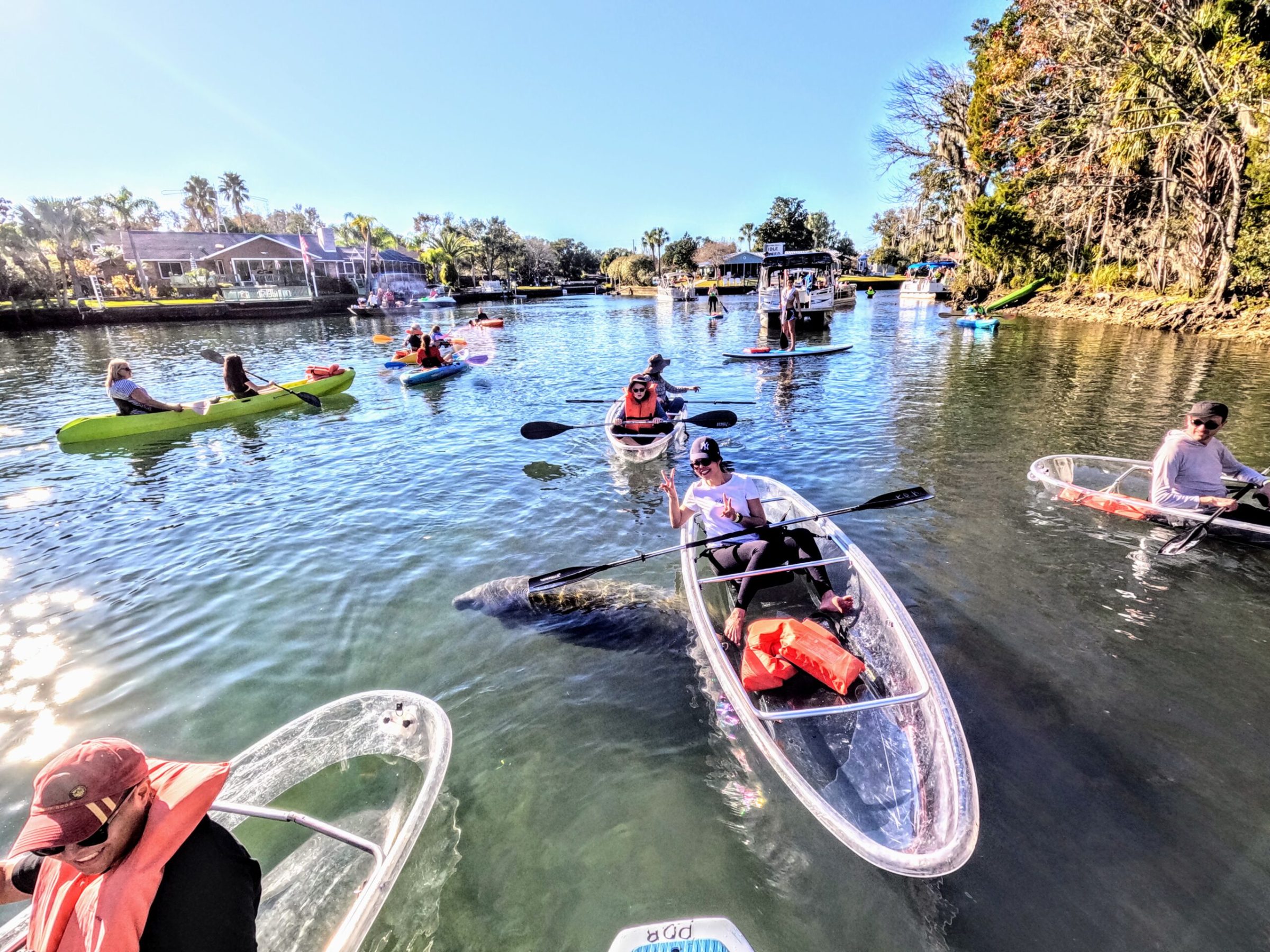 Clear kayaking tours in Crystal River, Florida