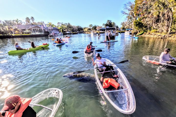 Clear kayaking tours in Crystal River, Florida