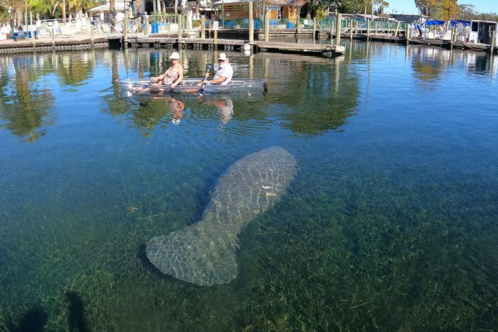 a boat is docked next to a body of water