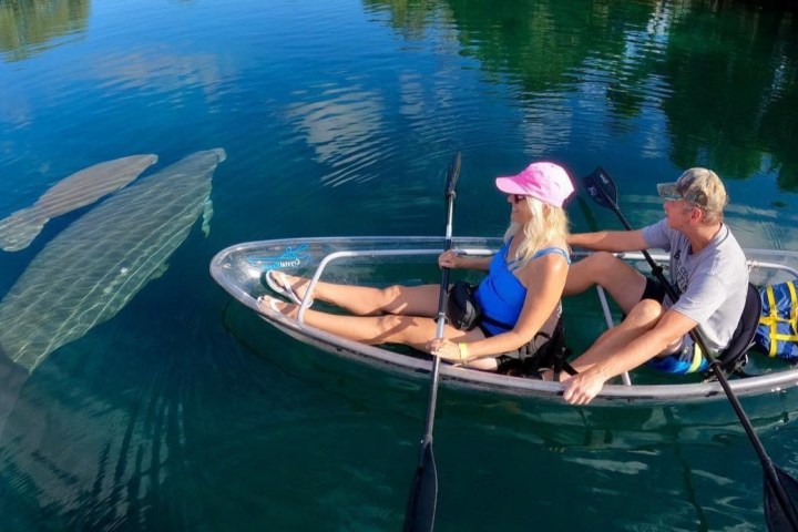 Clear kayak manatee viewing tour in Crystal River, Florida