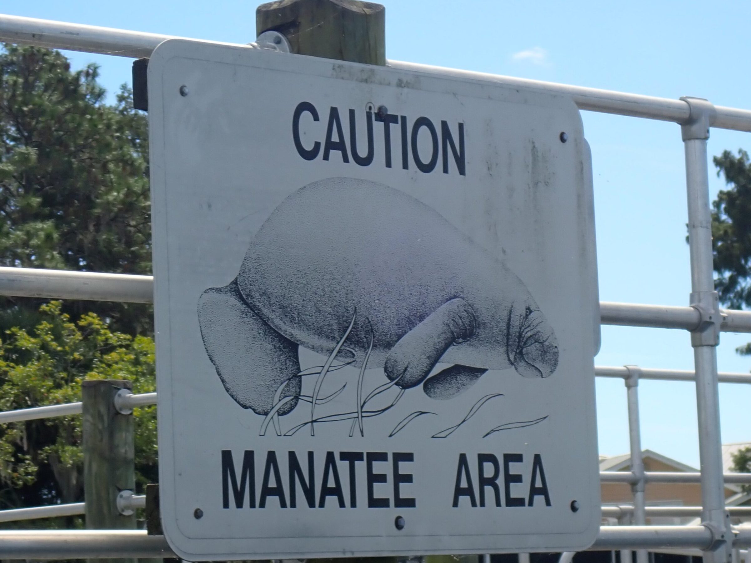 Keep Our Manatees Safe