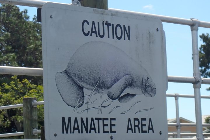 Keep Our Manatees Safe