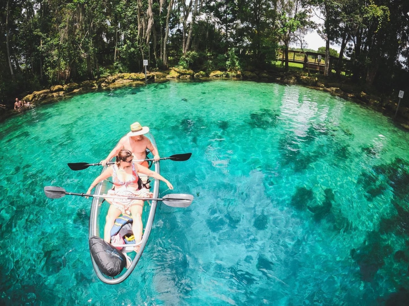Three Sisters Springs All Clear Kayak Tour