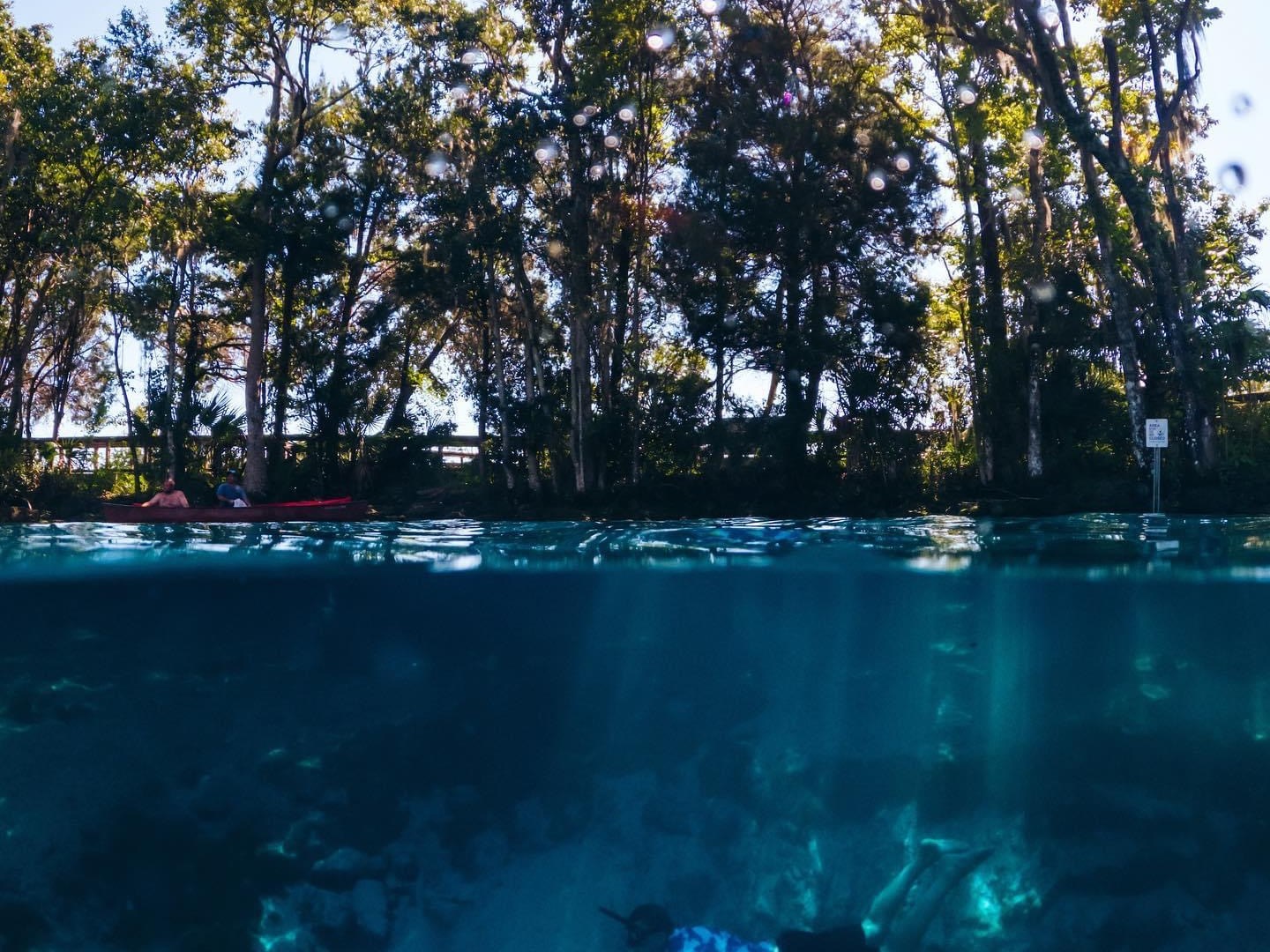 Three Sisters Springs in Crystal River, Florida
