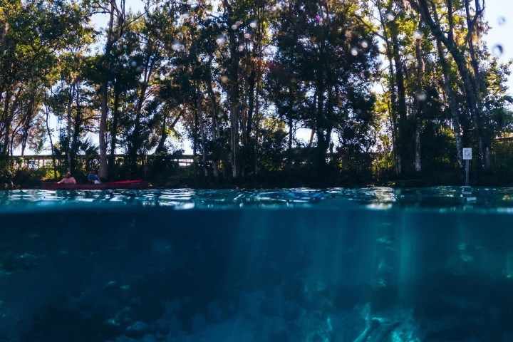 Three Sisters Springs in Crystal River, Florida