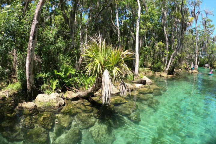 Three Sisters Springs