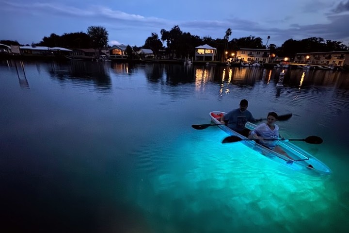 a group of people swimming in a body of water