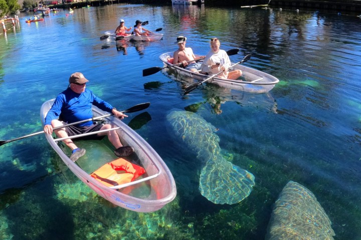 Clear Kayaking tour at Paddles Outdoor Rentals